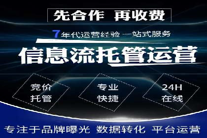 落地页在SEM优化中的重要性及成功案例